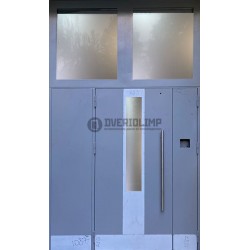 Дверь металлическая подъездная МКД-Олимп-05